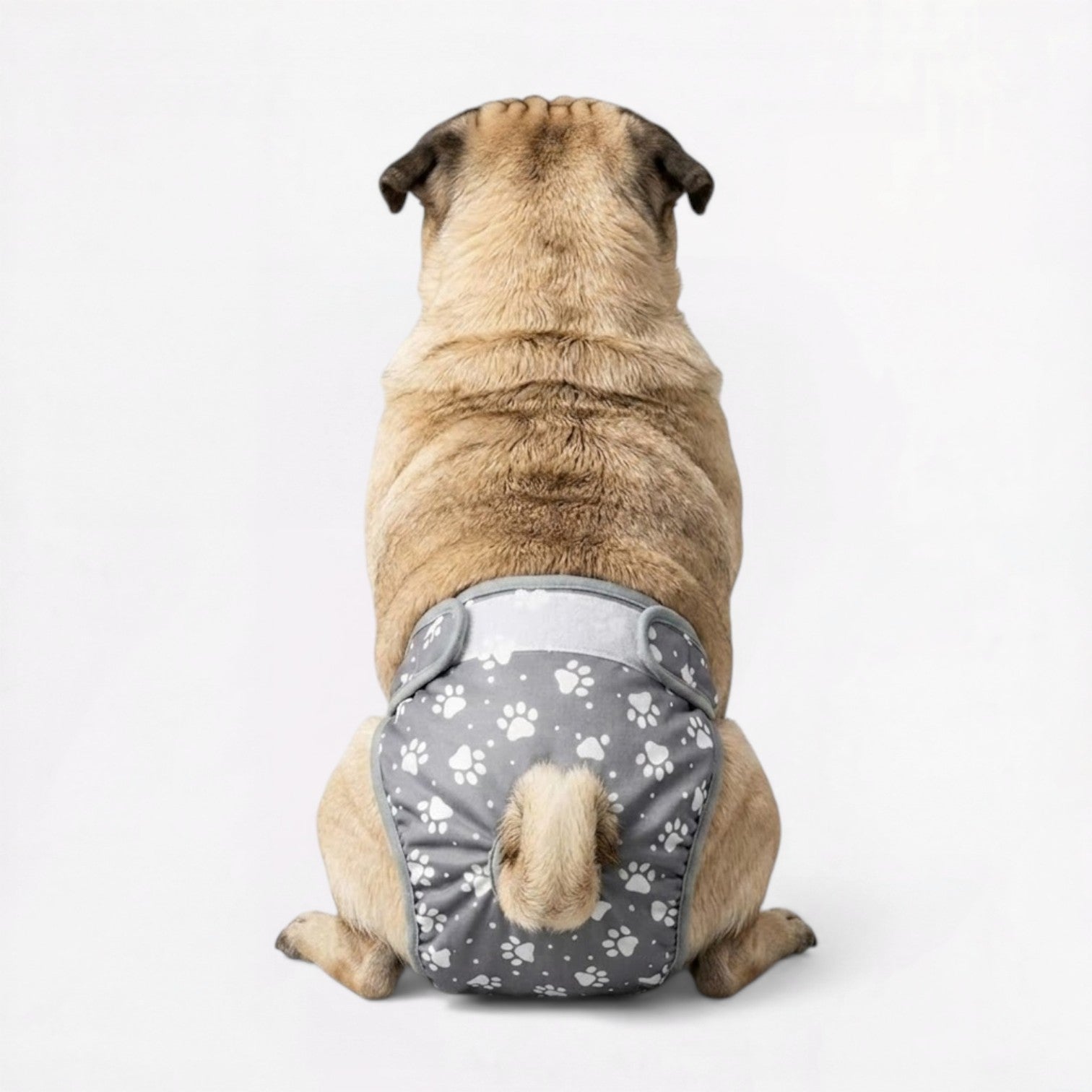 PawMimi-Pug-Washable-Diaper.jpg