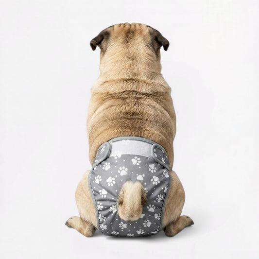 PawMimi-Pug-Washable-Diaper.jpg