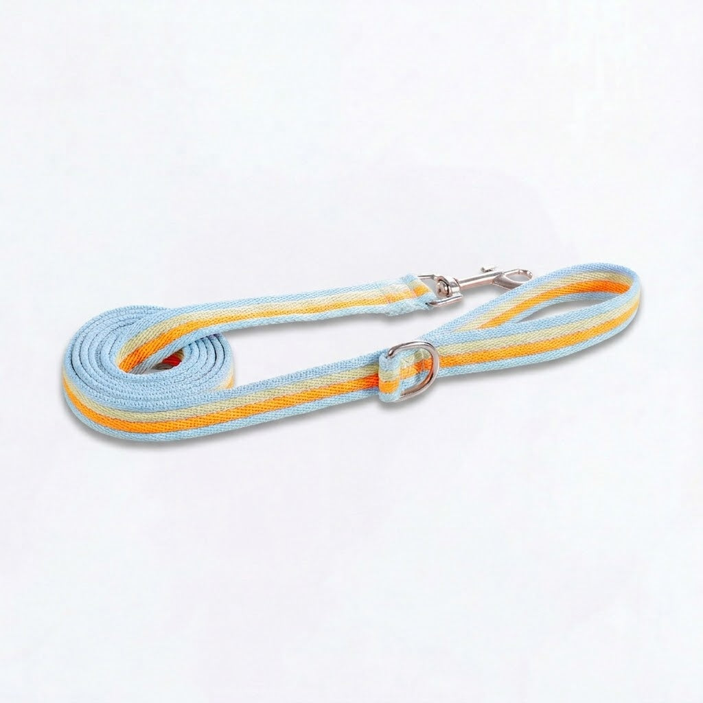 PawPop-Pug-Harness-Leash-Set.jpg