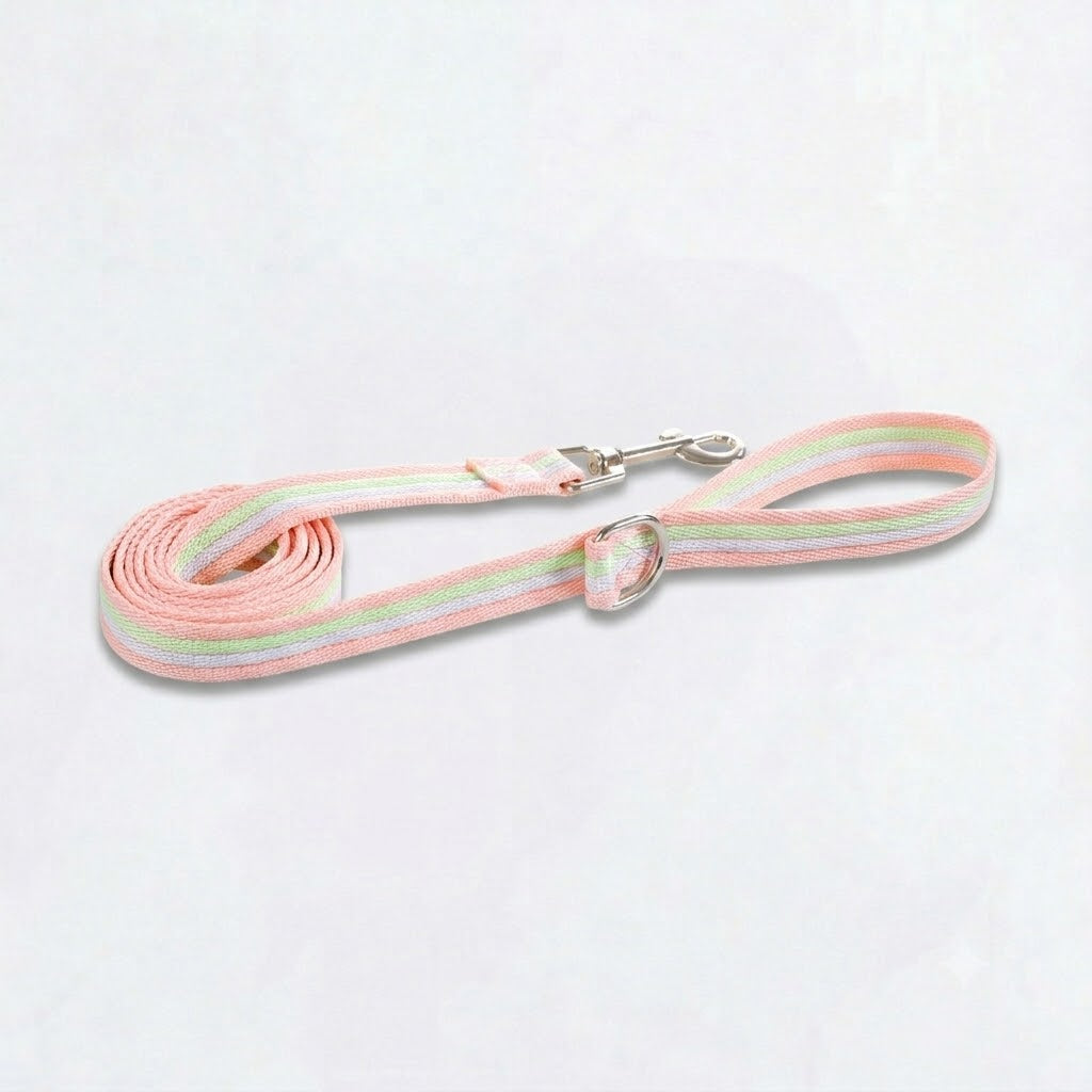 PawPop-Pug-Harness-Leash-Set.jpg