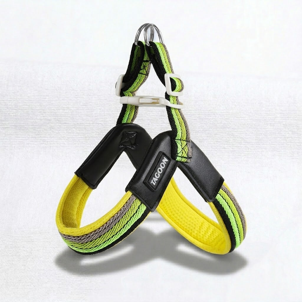 PawPop-Pug-Harness-Leash-Set.jpg