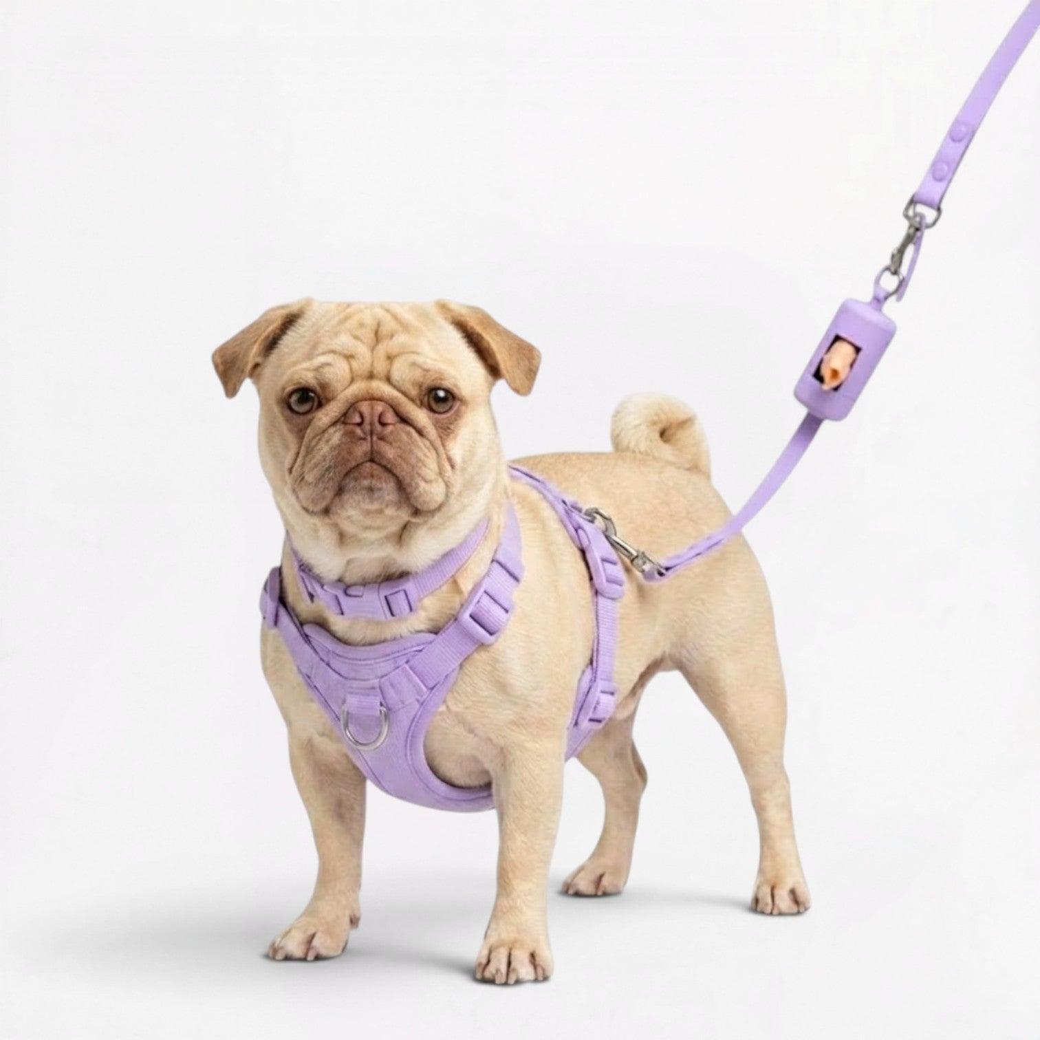 PawPu-Pug-Soft-Gear-Set.jpg