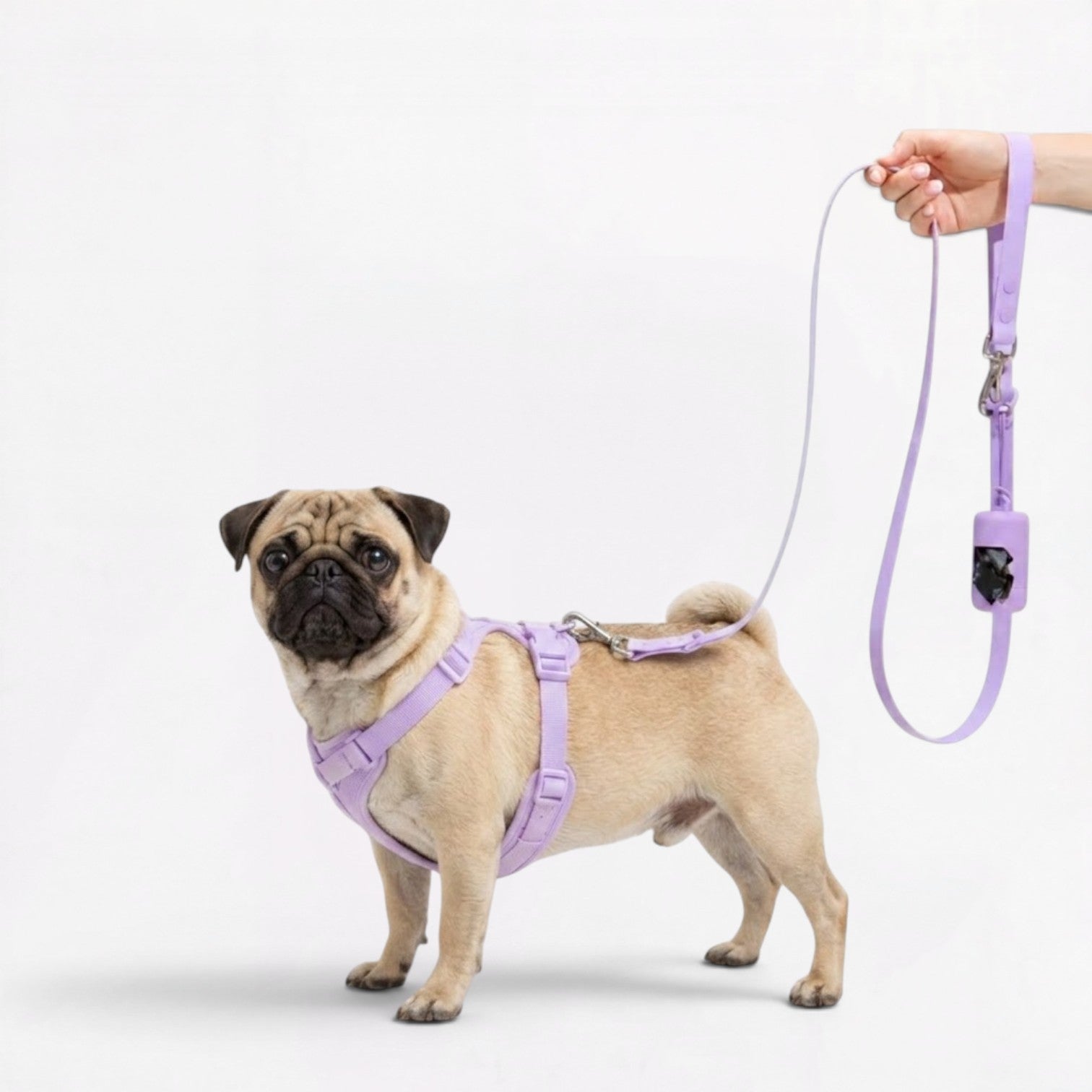 PawPu-Pug-Soft-Gear-Set.jpg