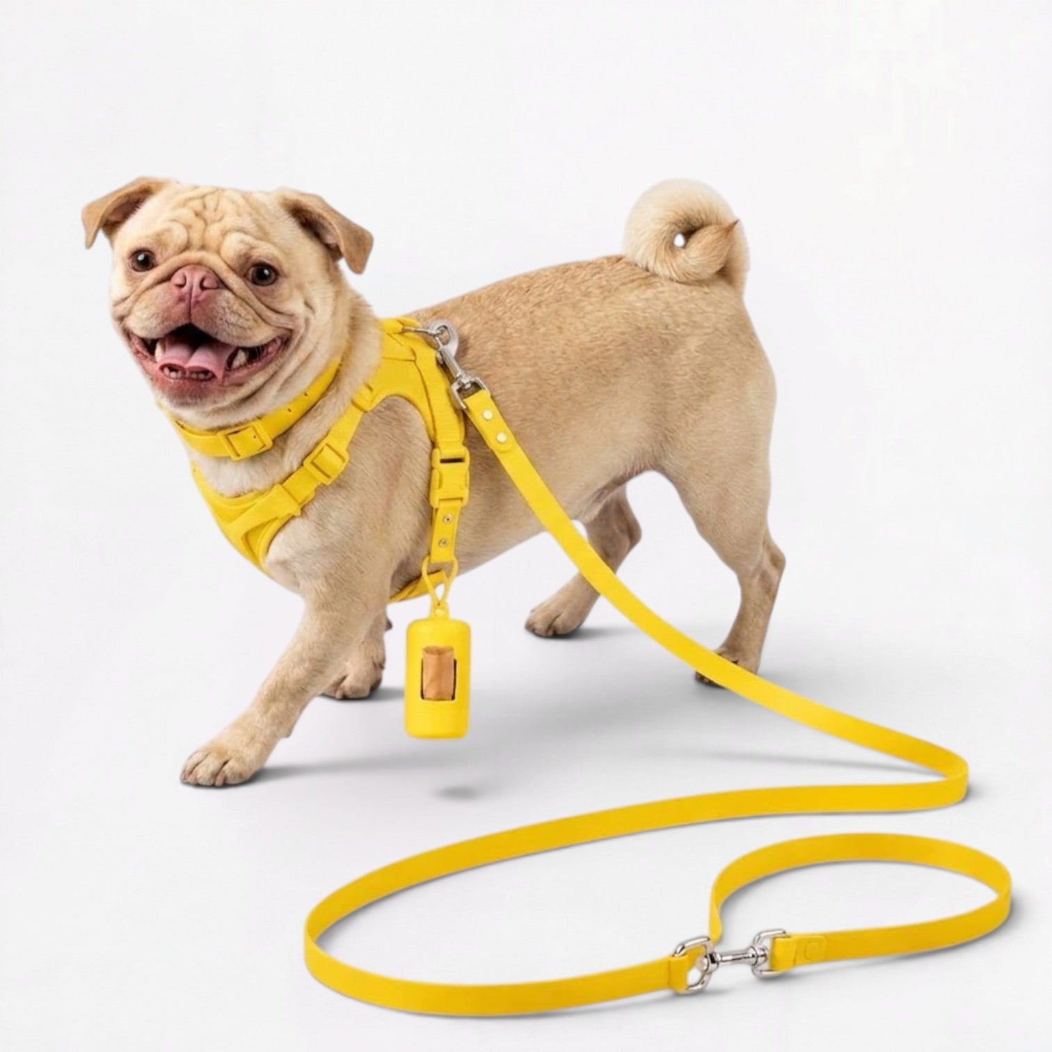 PawPu-Pug-Soft-Gear-Set.jpg