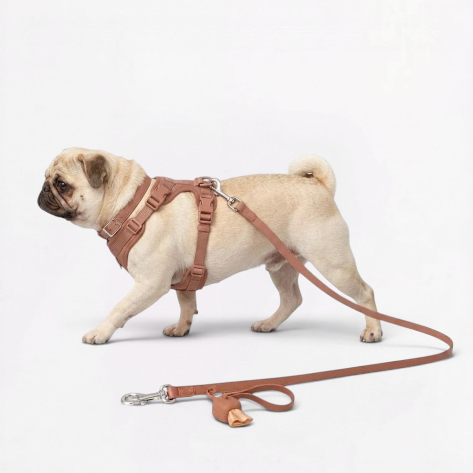 PawPu-Pug-Soft-Gear-Set.jpg