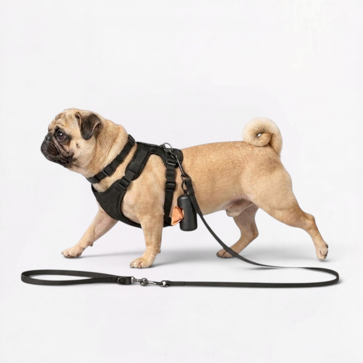 PawPu-Pug-Soft-Gear-Set.jpg