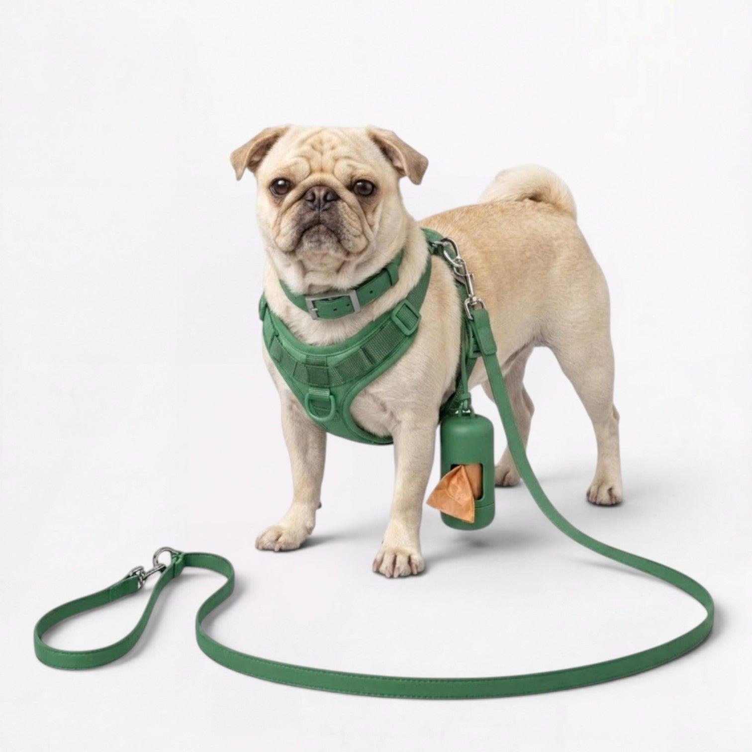 PawPu-Pug-Soft-Gear-Set.jpg