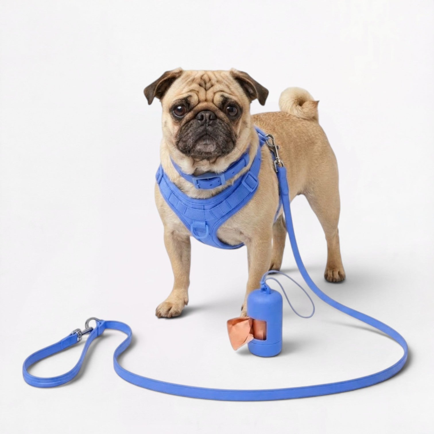 PawPu-Pug-Soft-Gear-Set.jpg