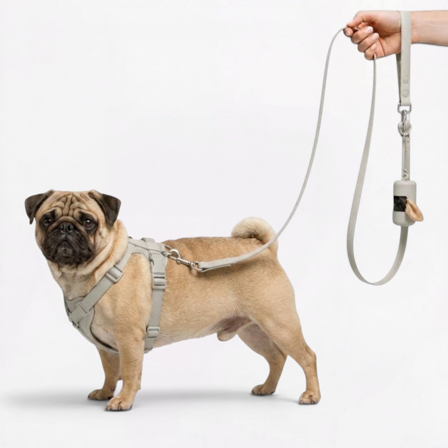 PawPu-Pug-Soft-Gear-Set.jpg