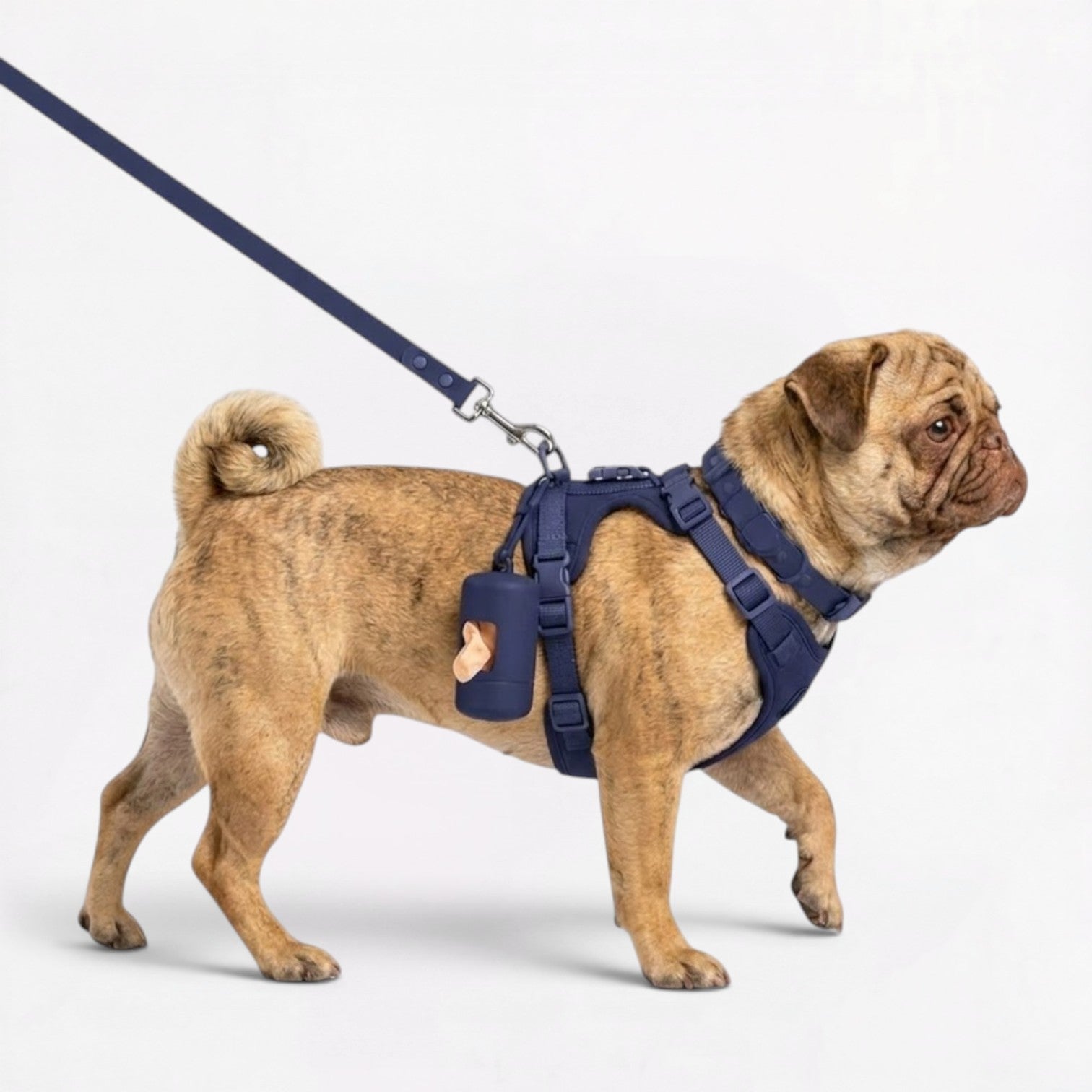 PawPu-Pug-Soft-Gear-Set.jpg