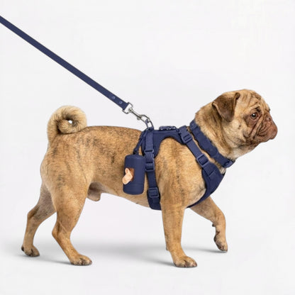 PawPu-Pug-Soft-Gear-Set.jpg