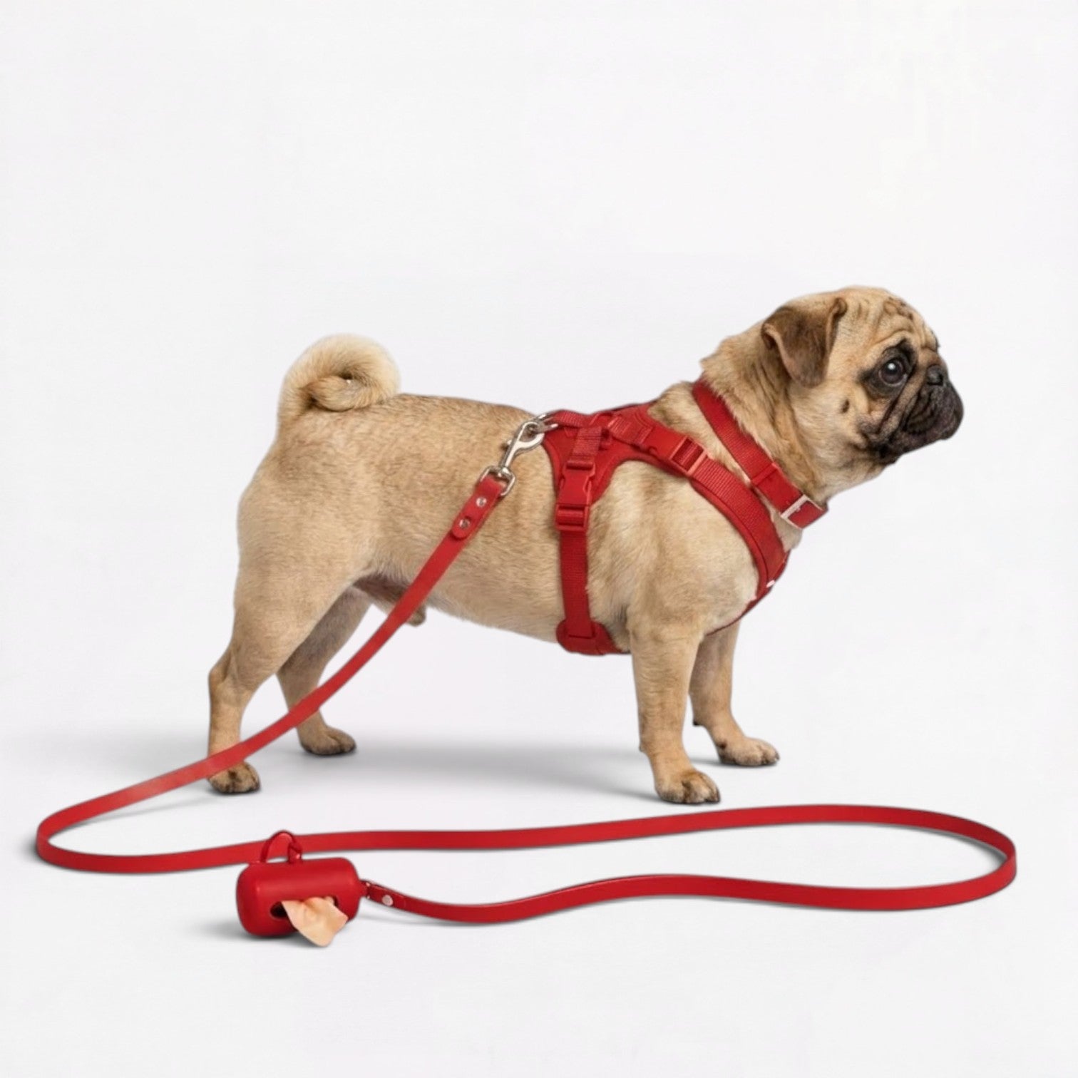 PawPu-Pug-Soft-Gear-Set.jpg