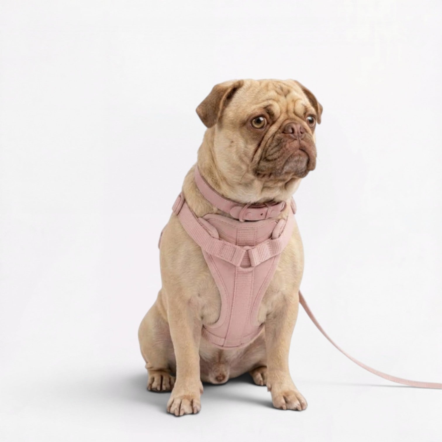 PawPu-Pug-Soft-Gear-Set.jpg