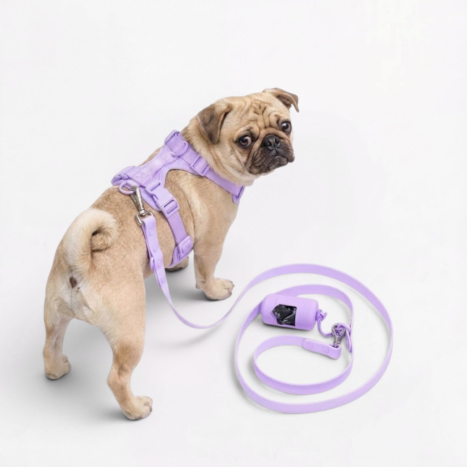 PawPu-Pug-Soft-Gear-Set.jpg