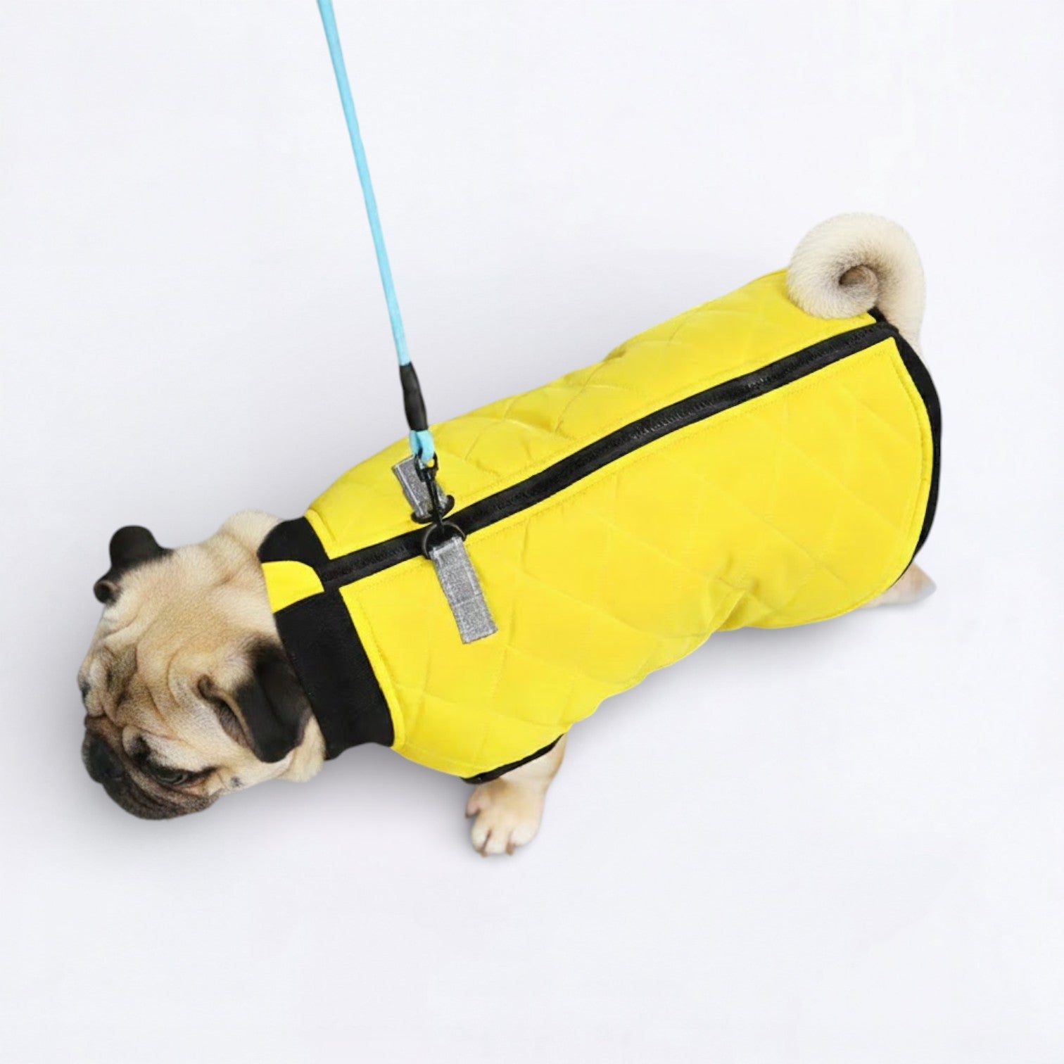 PawQuilt-Pug-Quilted-Vest.jpg