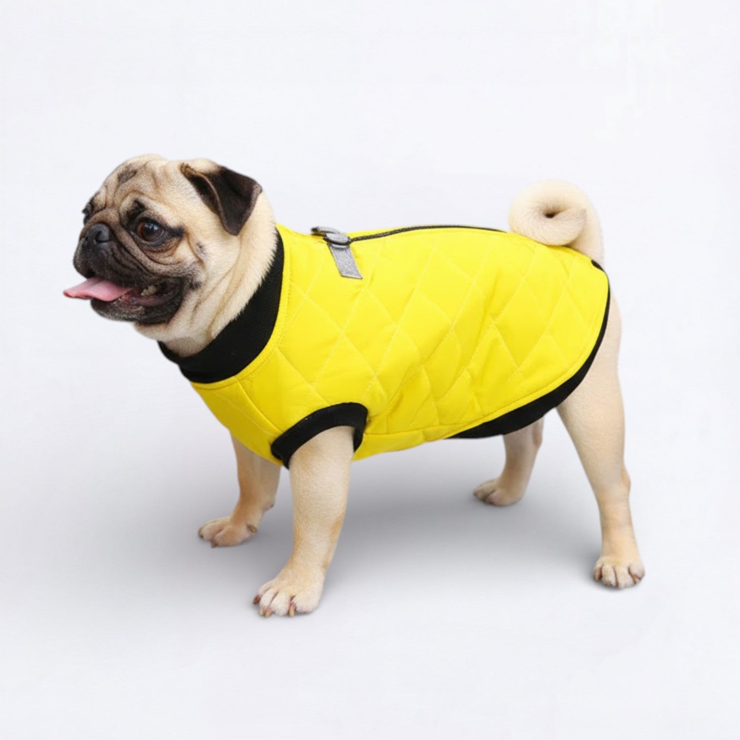 PawQuilt-Pug-Quilted-Vest.jpg