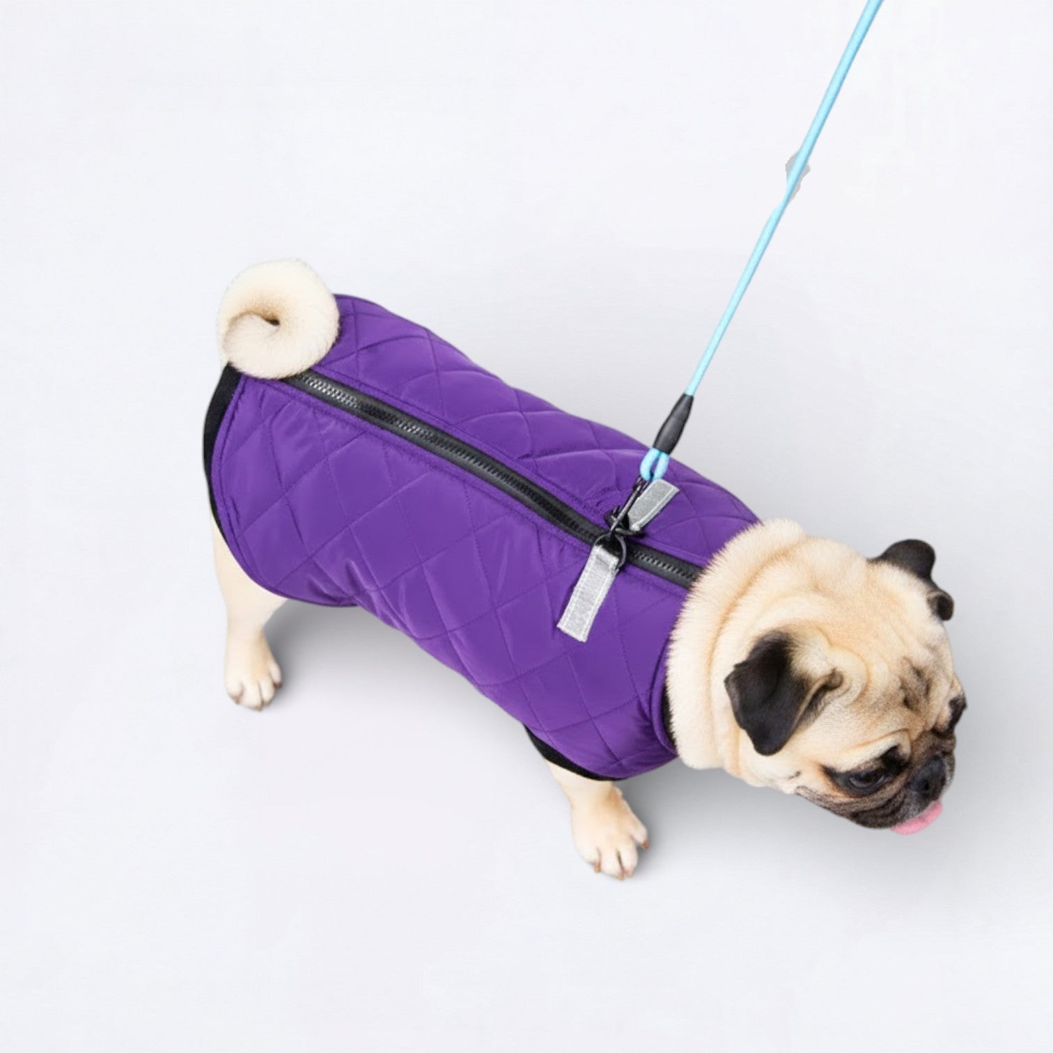 PawQuilt-Pug-Quilted-Vest.jpg