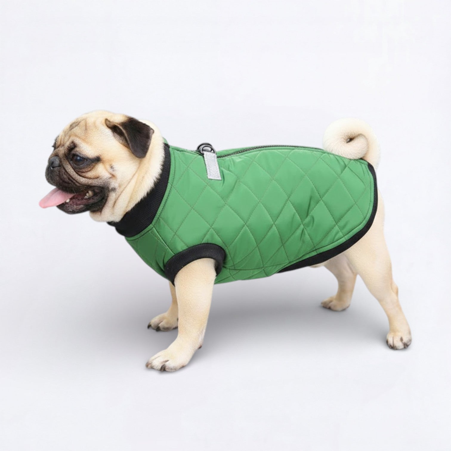 PawQuilt-Pug-Quilted-Vest.jpg