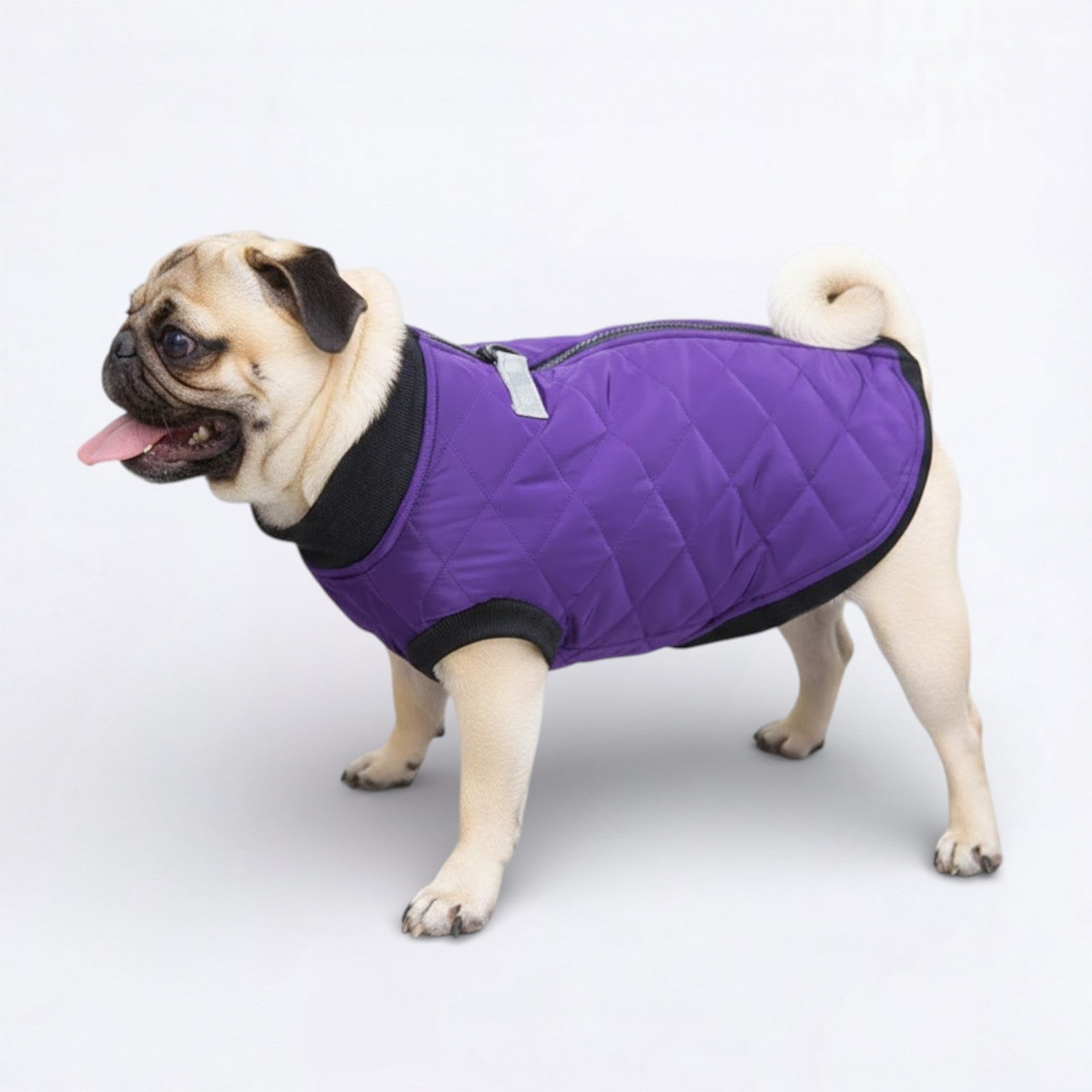 PawQuilt-Pug-Quilted-Vest.jpg