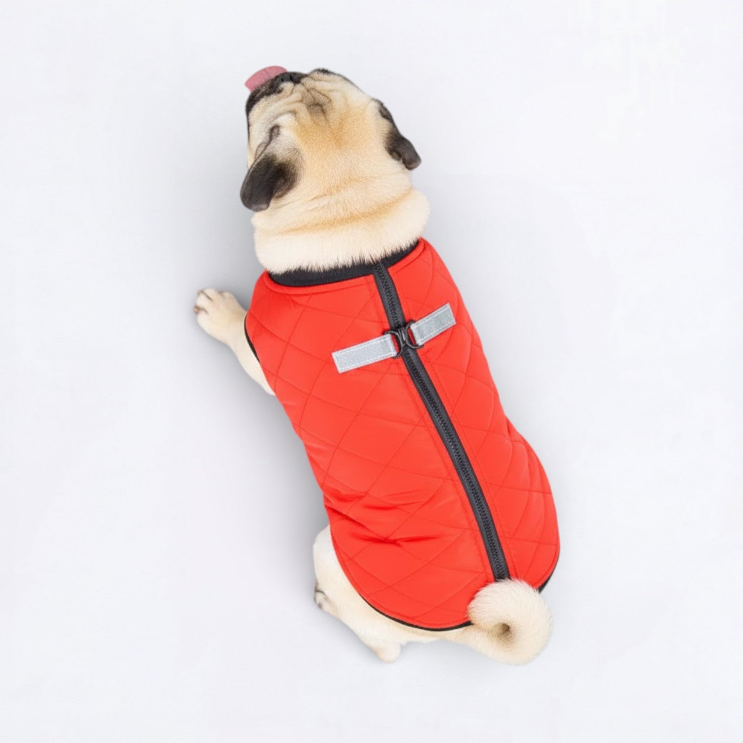 PawQuilt-Pug-Quilted-Vest.jpg