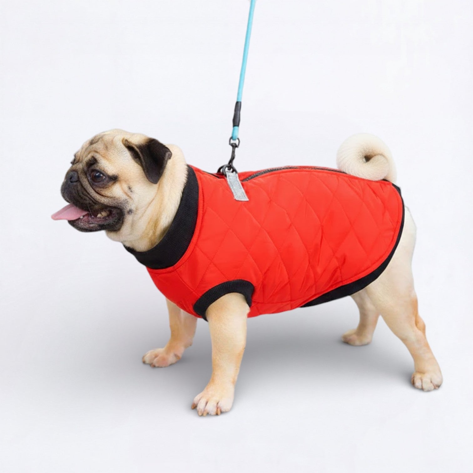 PawQuilt-Pug-Quilted-Vest.jpg