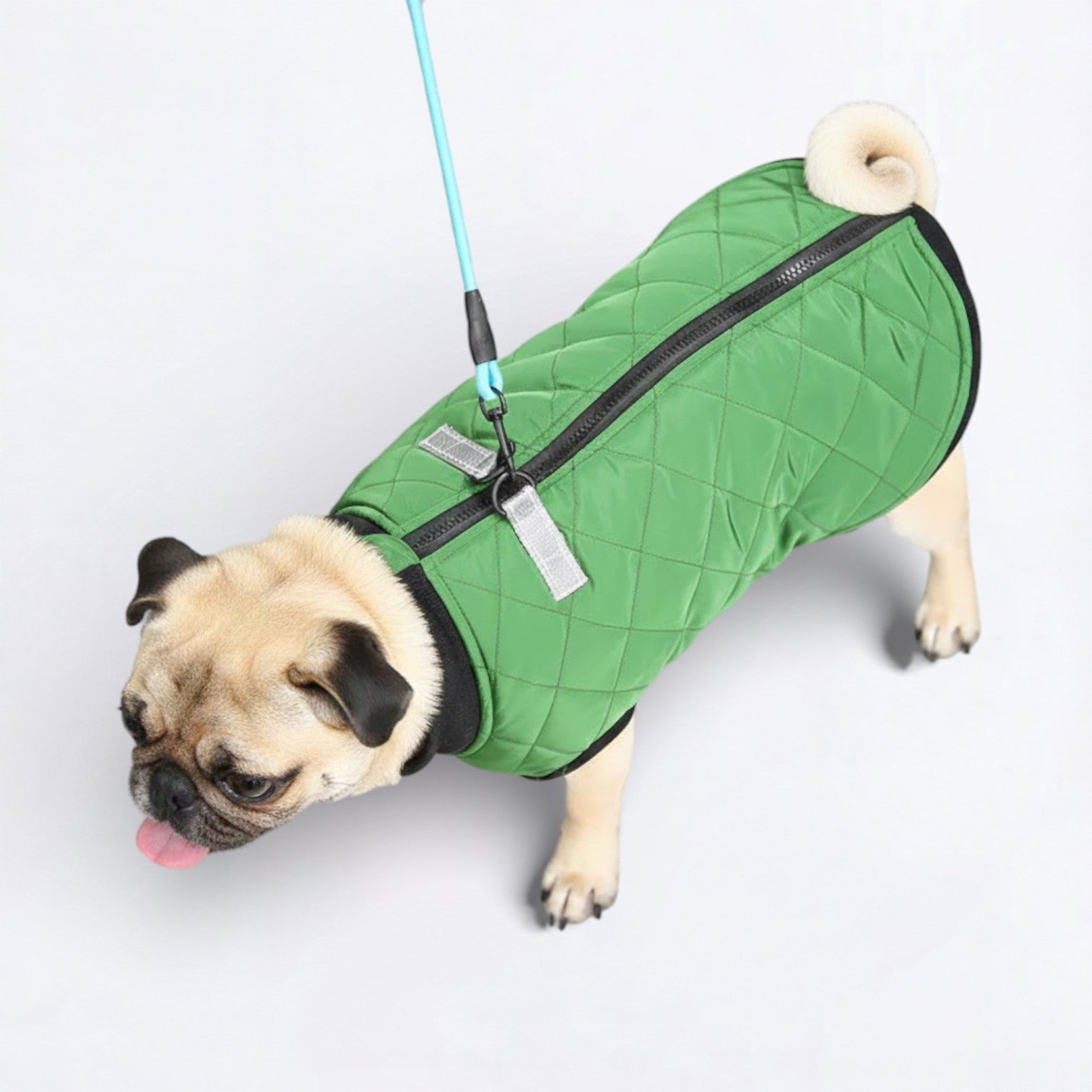 PawQuilt-Pug-Quilted-Vest.jpg