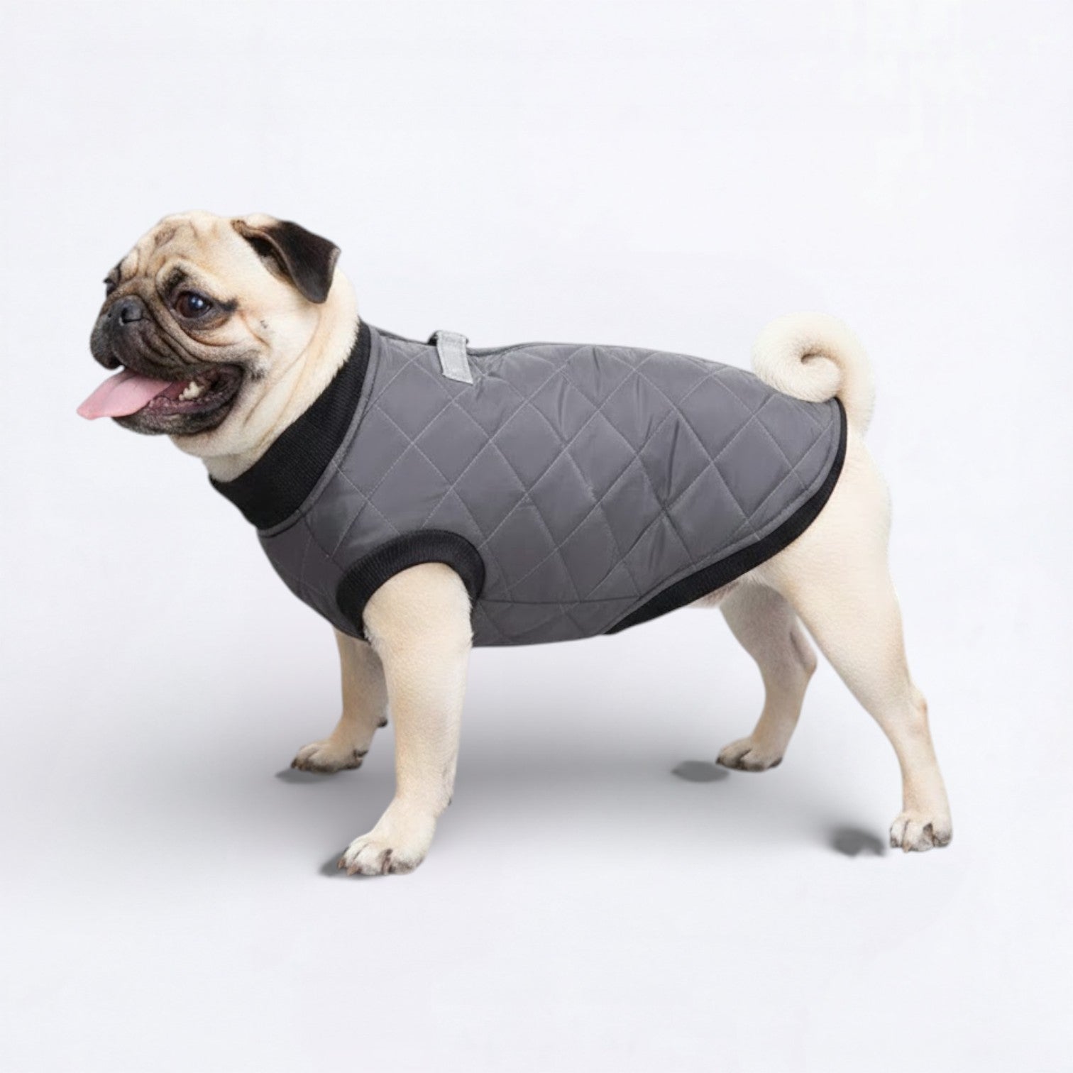 PawQuilt-Pug-Quilted-Vest.jpg