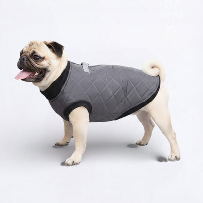 PawQuilt-Pug-Quilted-Vest.jpg