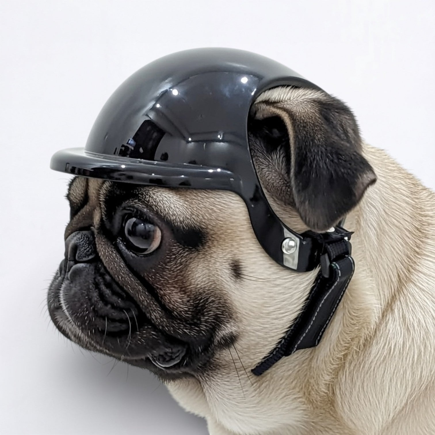 PawRider-Pug-Protection-Helmet,jpg