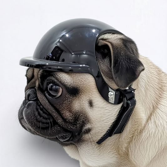PawRider-Pug-Protection-Helmet,jpg