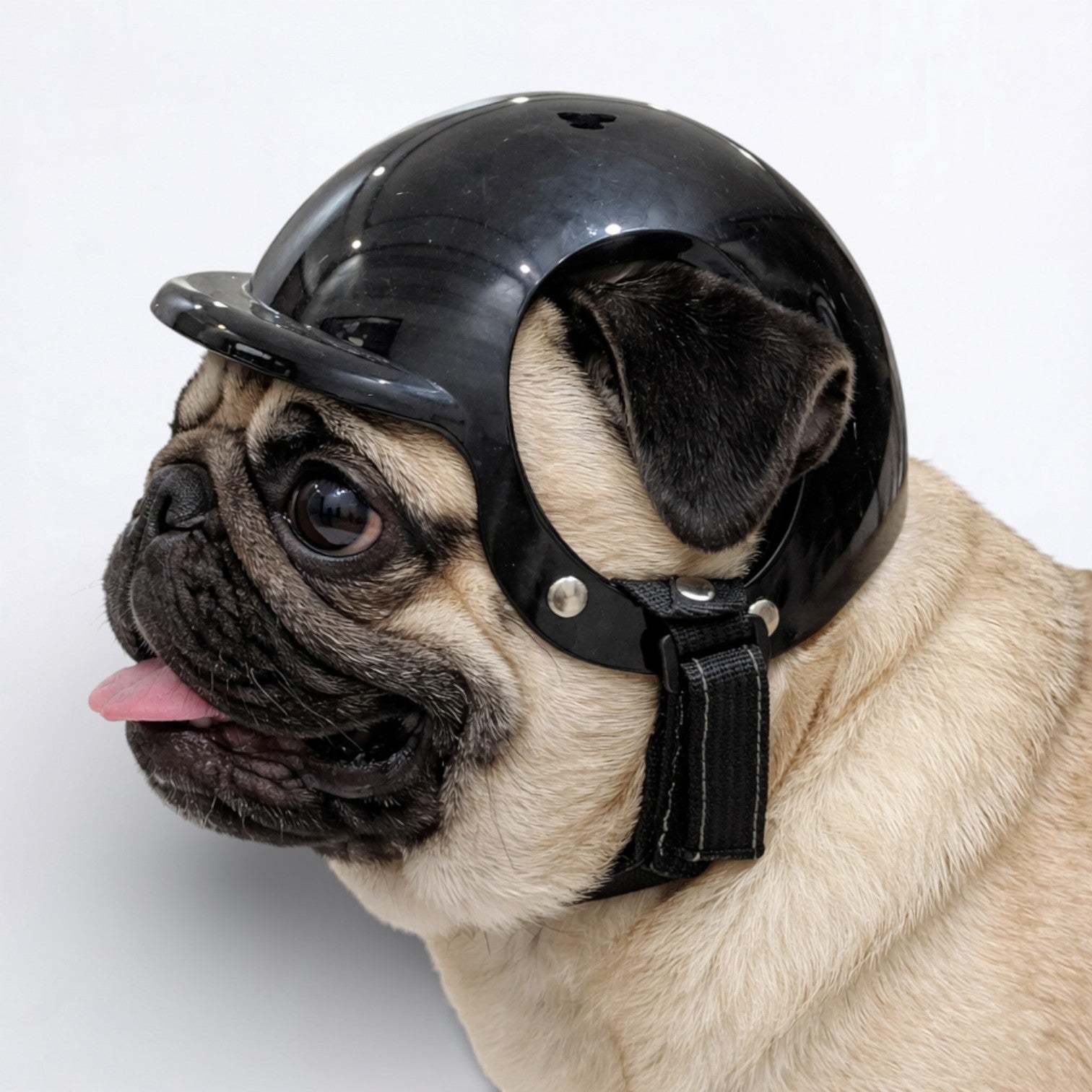 PawRider-Pug-Protection-Helmet,jpg