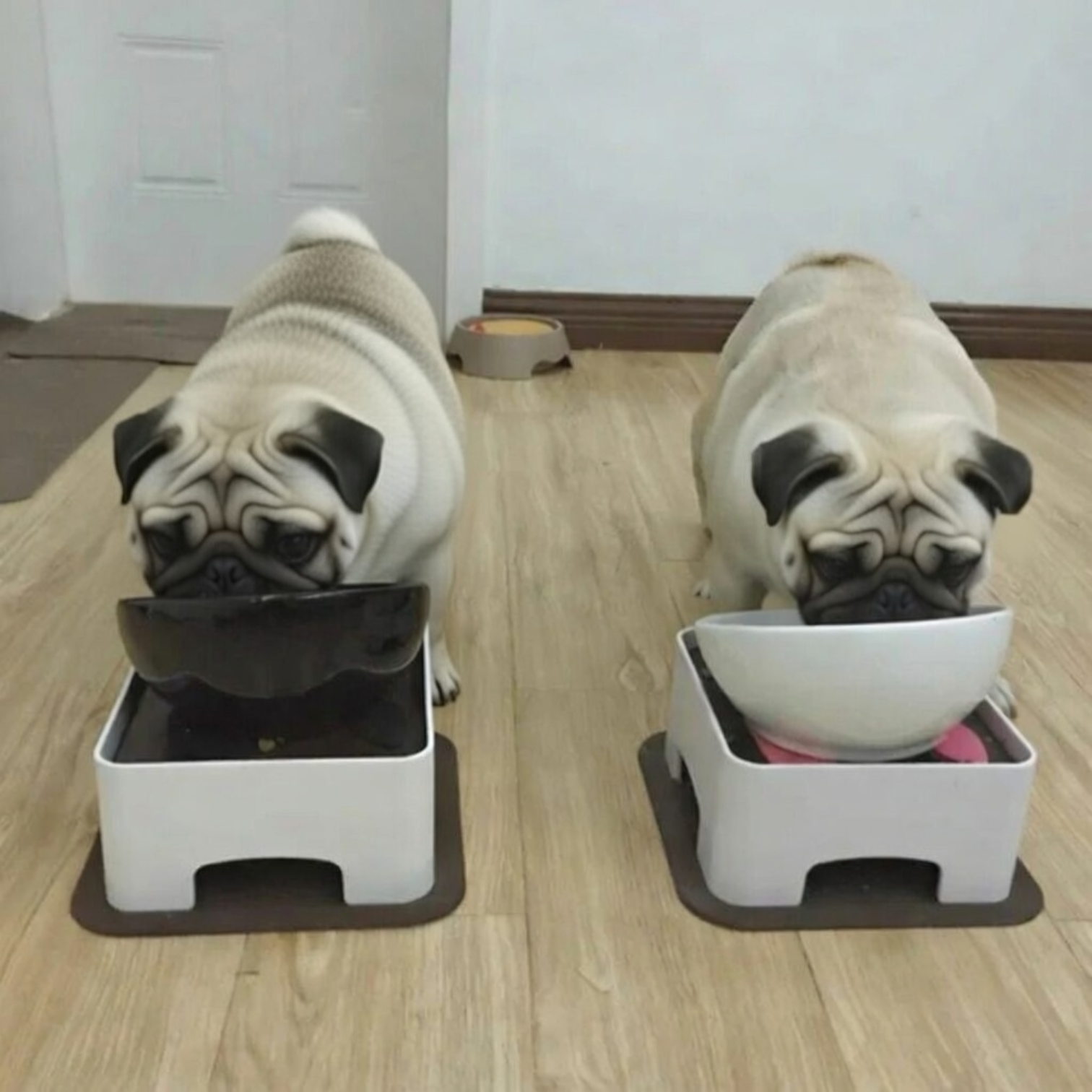 PawRise-Pug-Ceramic-Bowl.jpg