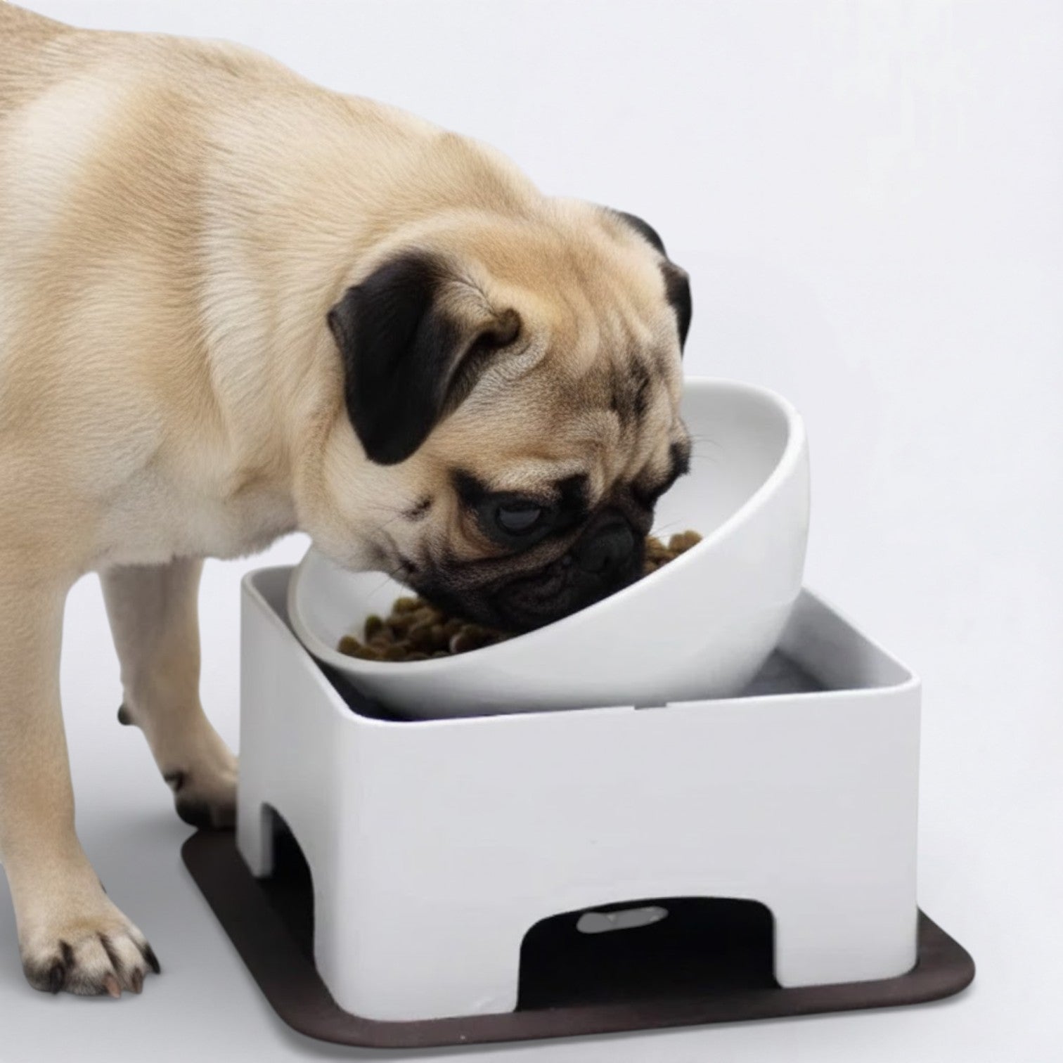 PawRise-Pug-Ceramic-Bowl.jpg