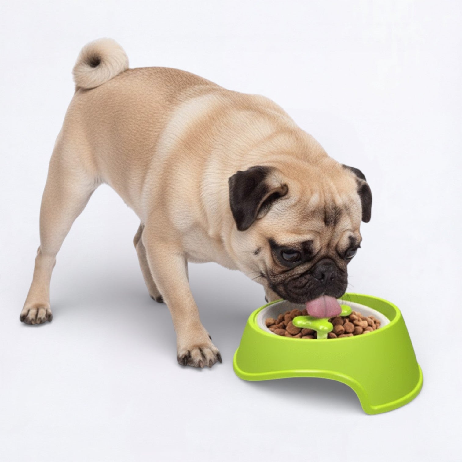 PawSlow-Pug-Slow-Feeder-Bowl.jpg