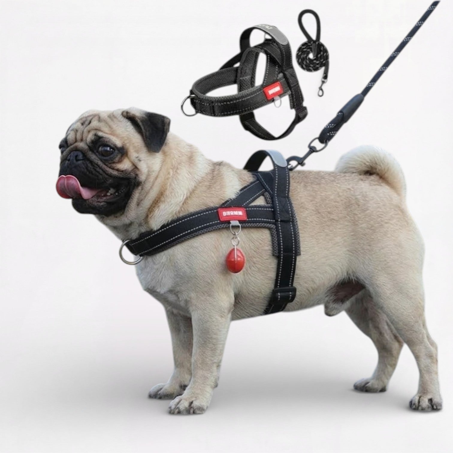 PawTrek-Pug-Harness-Leash-Set.jpg