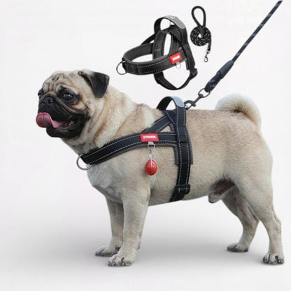 PawTrek-Pug-Harness-Leash-Set.jpg