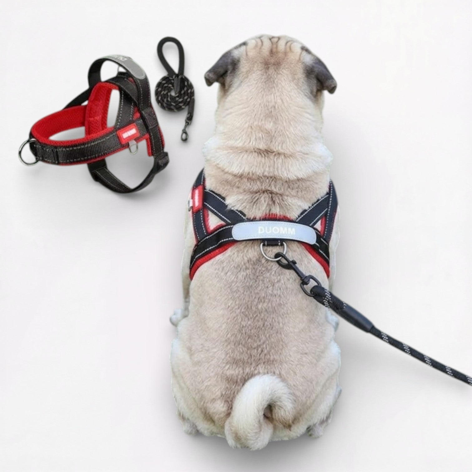 PawTrek-Pug-Harness-Leash-Set.jpg