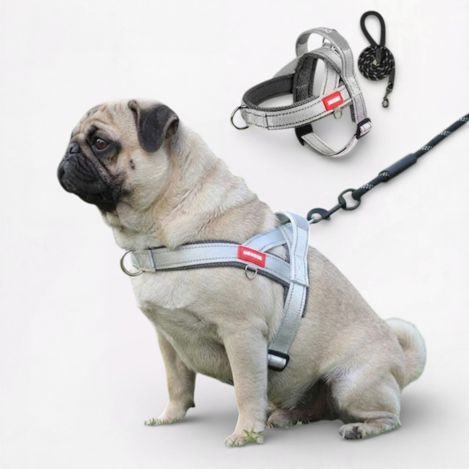 PawTrek-Pug-Harness-Leash-Set.jpg