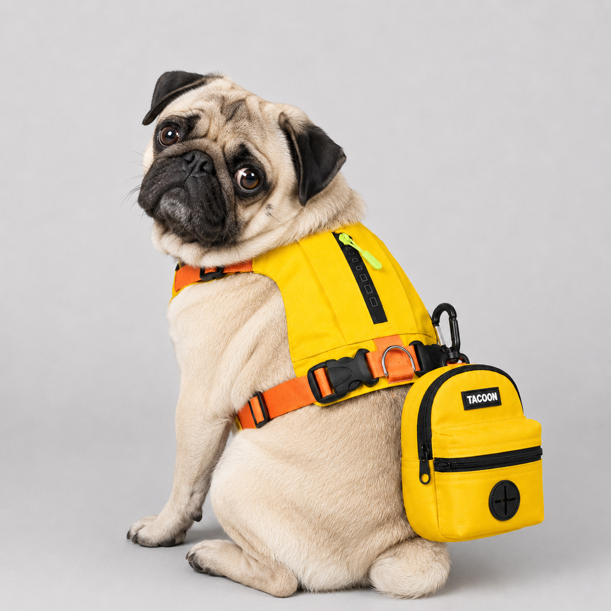 PawTrick-Pug-Harness-Bag-Set.jpg