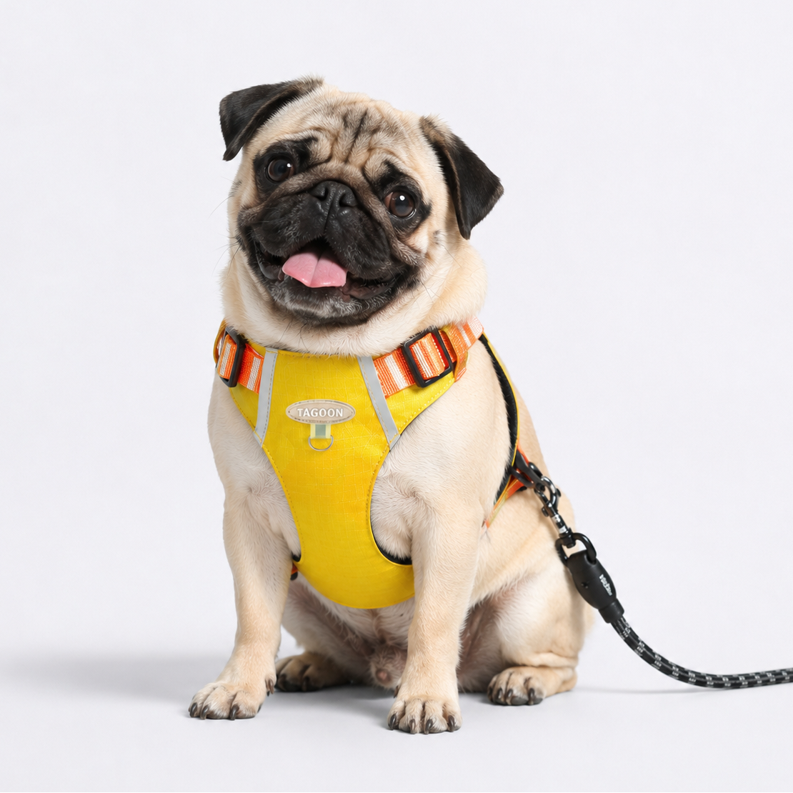 PawTrick-Pug-Harness-Bag-Set.jpg