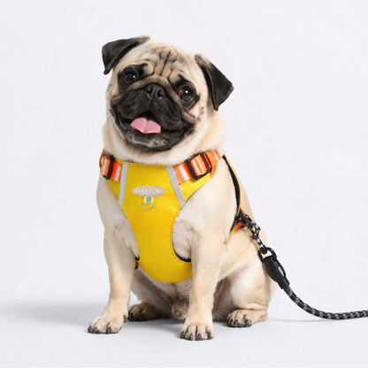 PawTrick-Pug-Harness-Bag-Set.jpg