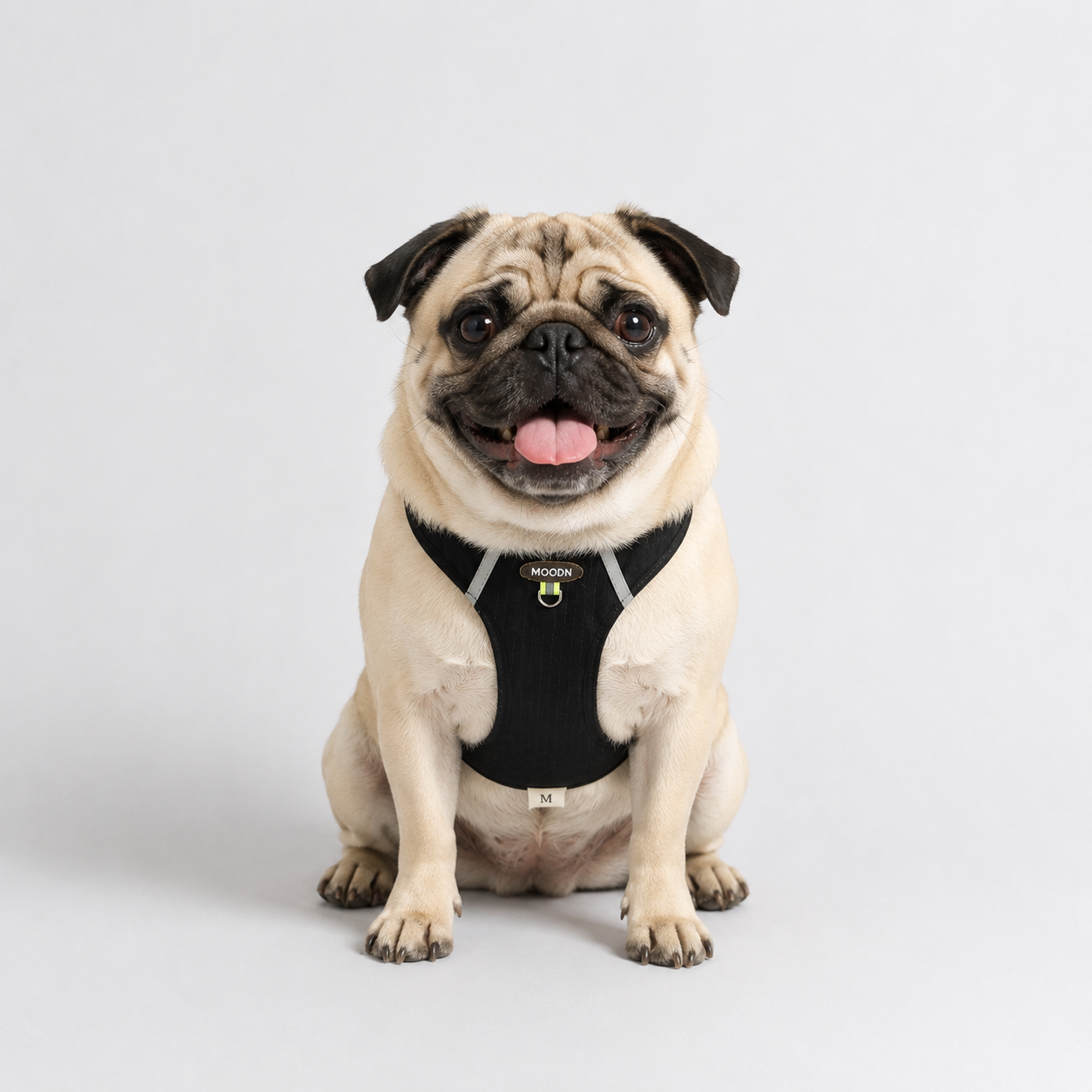 PawTrick-Pug-Harness-Bag-Set.jpg