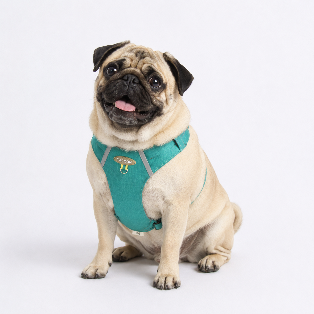 PawTrick-Pug-Harness-Bag-Set.jpg