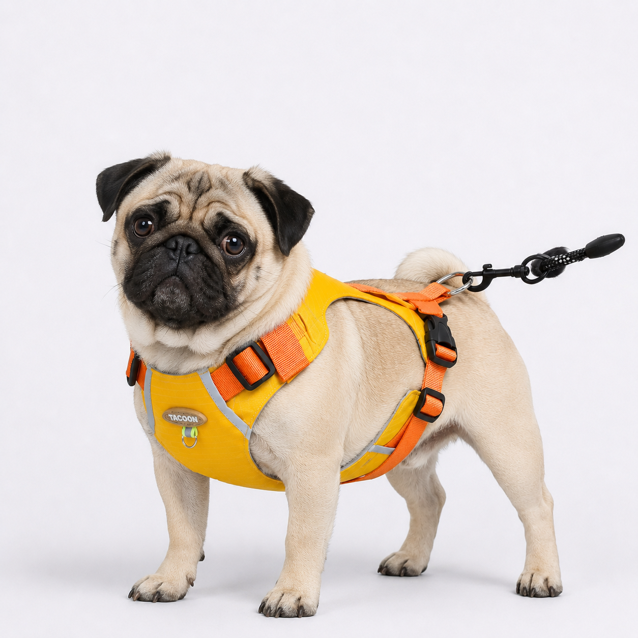 PawTrick-Pug-Harness-Bag-Set.jpg
