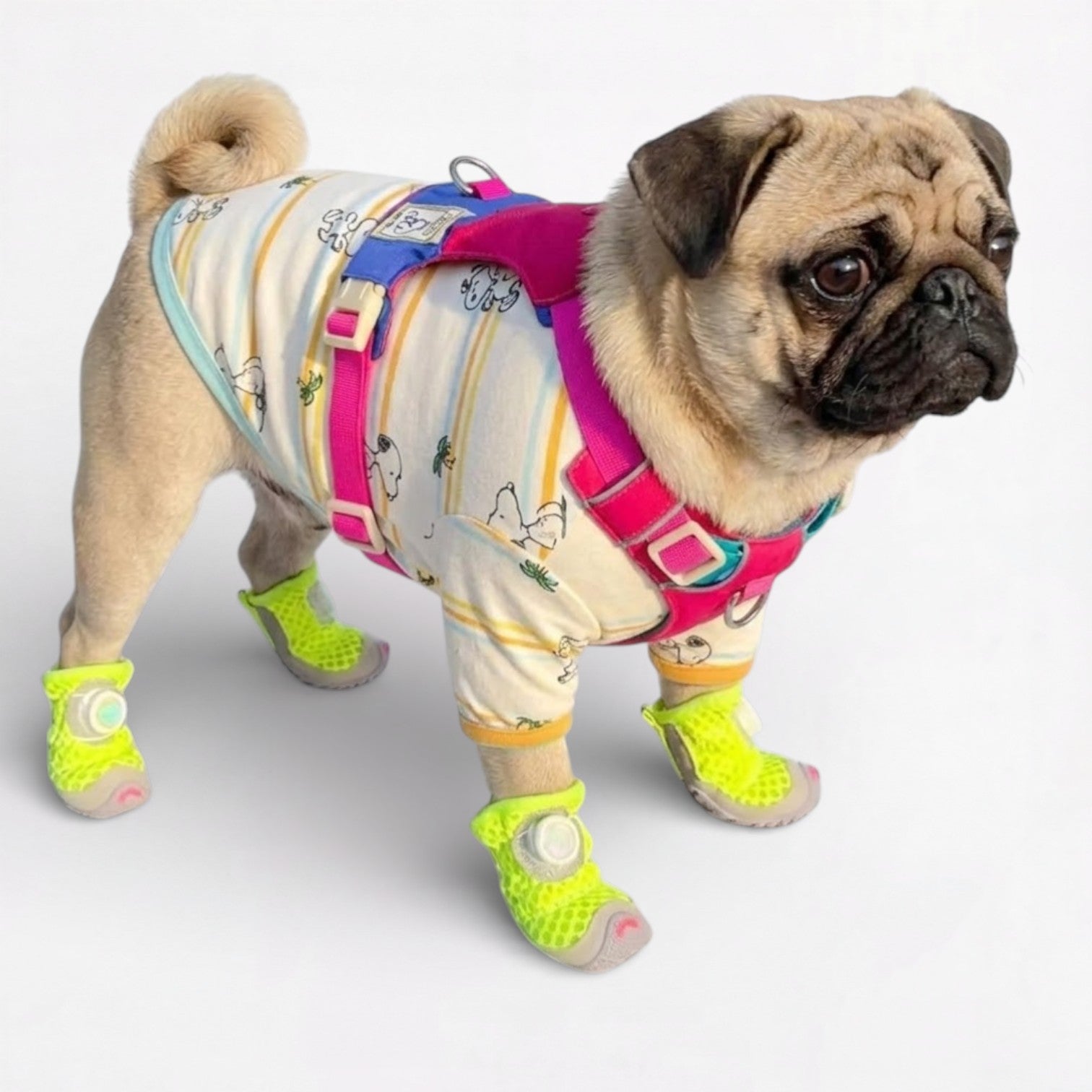 PawVent-Pug-Mesh-Shoes.jpg