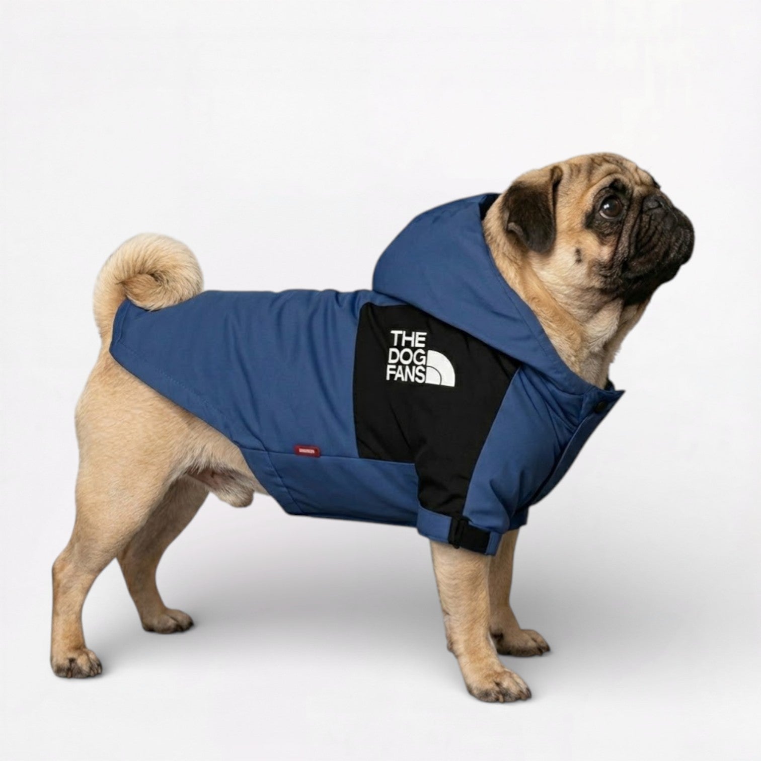 PawVenture-Pug-Denim-Blue-Raincoat.jpg