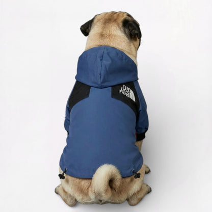 PawVenture-Pug-Denim-Blue-Raincoat.jpg