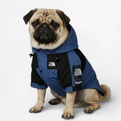 PawVenture-Pug-Denim-Blue-Raincoat.jpg