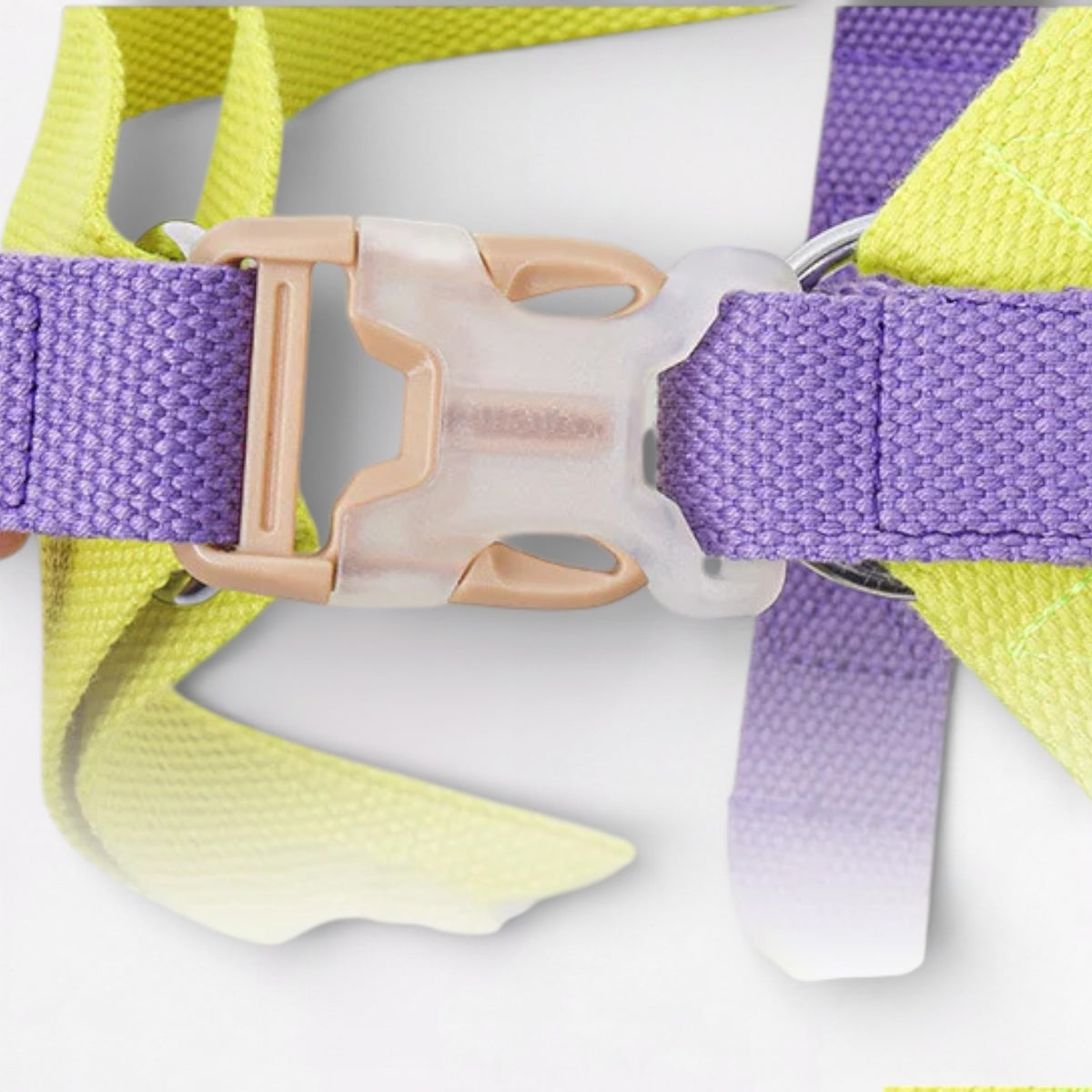 PawVibe-Pug-Harness-Leash-Set.jpg