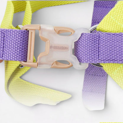 PawVibe-Pug-Harness-Leash-Set.jpg